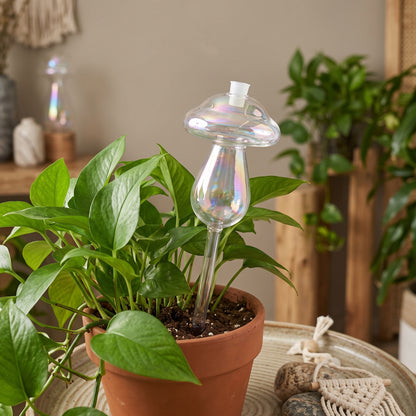 Gotero de riego autoirrigante en forma de hongo en vidrio iridiscente tornasol, insertado en planta de interior — LOFT Mobiliario