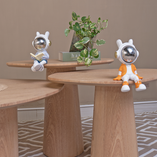 Set Mesa de Centro de Diseño Orgánico | Modelo Arrecife